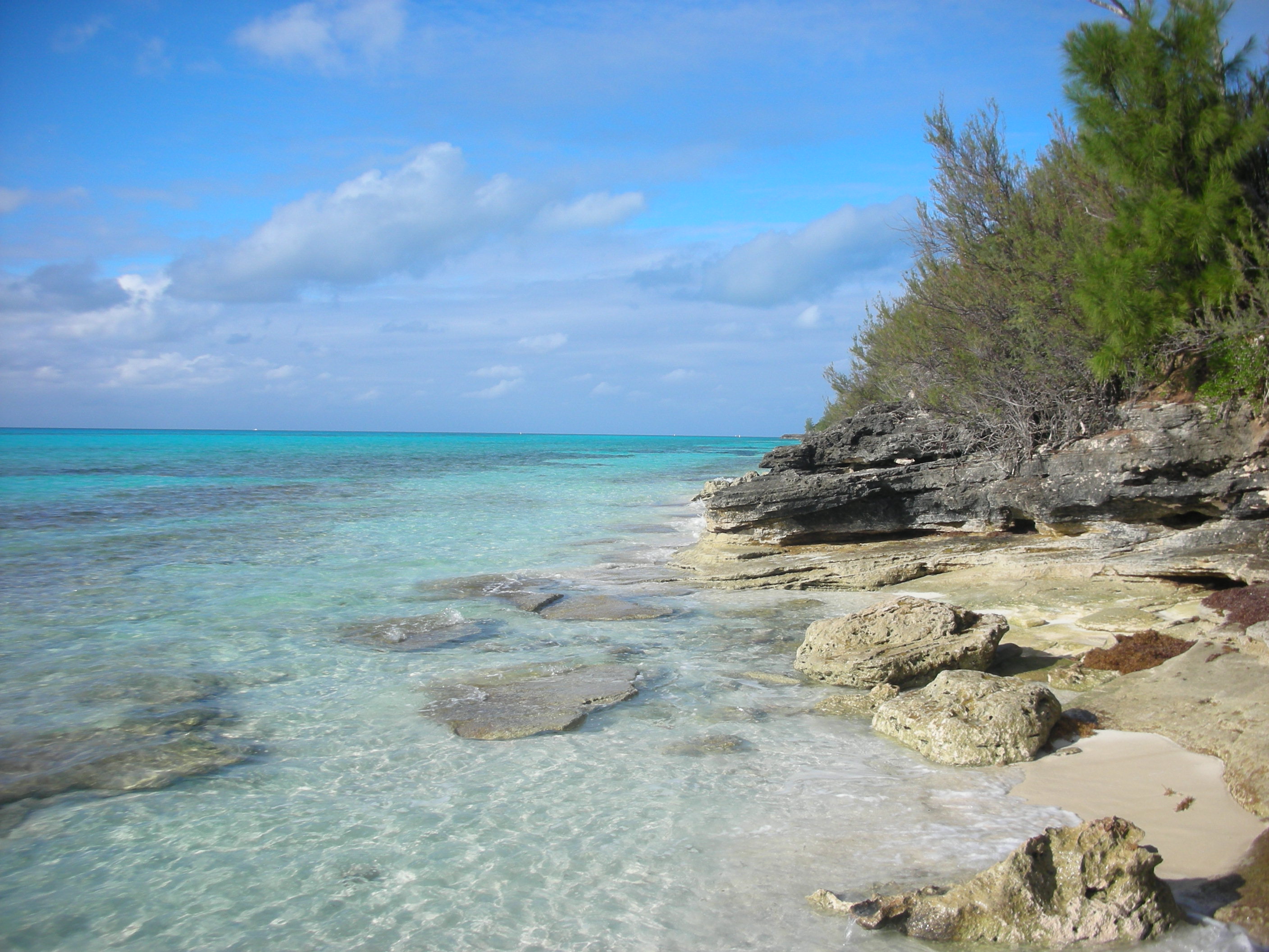 Winter in Bermuda