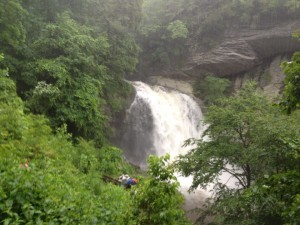 Looking Glass Falls, NC