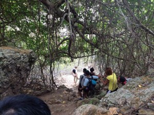Hiking Christoffelberg Curacao