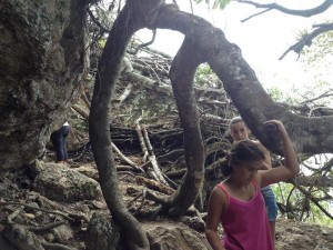 Hiking Christoffelberg Curacao