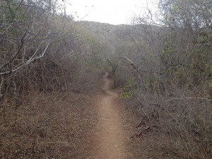 Hiking Christoffelberg Curacao