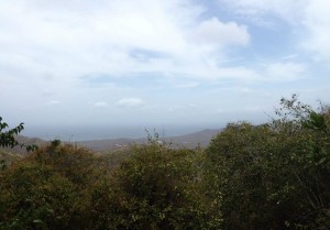 Hiking Christoffelberg Curacao