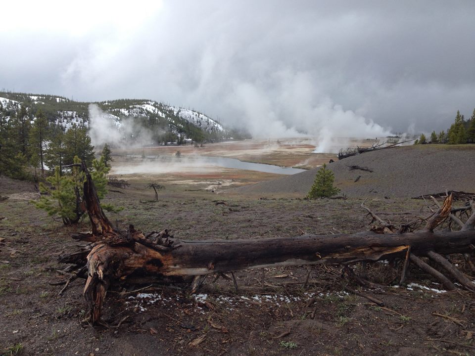 Hot Springs and Geysers
