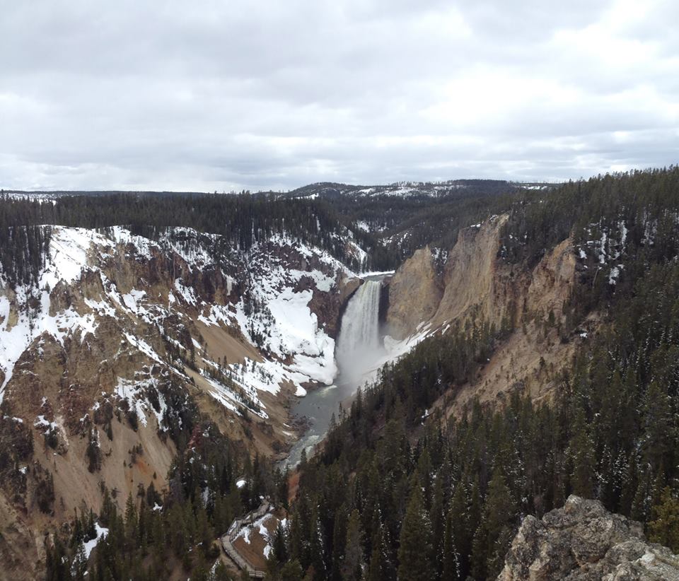 Grand Canyon of the Yellowstone