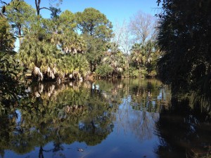 New Orleans City Park