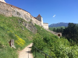 Rosnov Fortress and Mountains