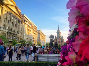 Timisoara City Center Flower Festival