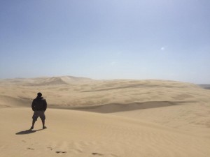 Te Paki Sand Dunes New Zealand