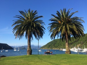 Picton Foreshore