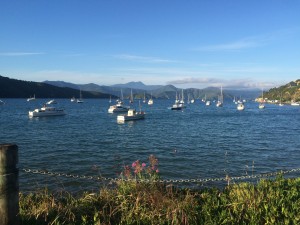 Waikawa and the Marlborough Sounds