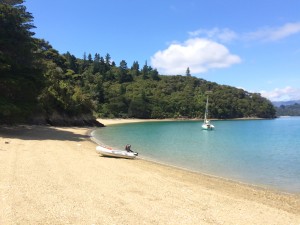 Beach in the Marlborough Sounds