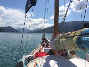 Cruising in the Marlborough Sounds