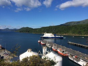 Bluebridge Interisland Ferry Docking