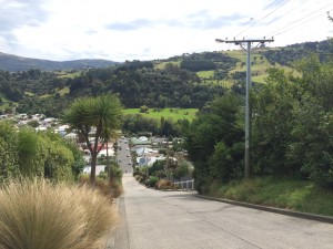 Steepest road in the world Dunedin NZ