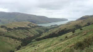 Banks Peninsula