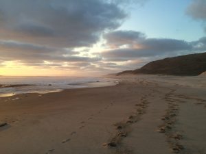 Beautiful Beach Hokianga Harbour