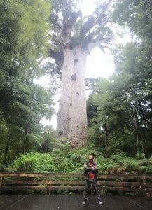 Waipoua Forest Tane Mahuta