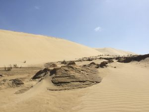 Te Paki Sand Dunes