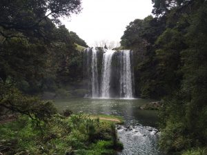 Whangarei Falls