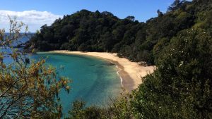 Whale Bay Northland