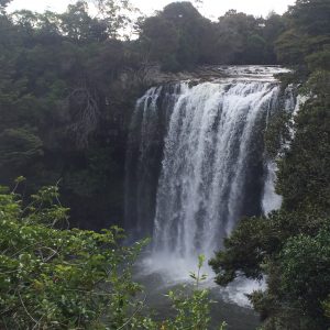 Rainbow Falls Kerikeri nz