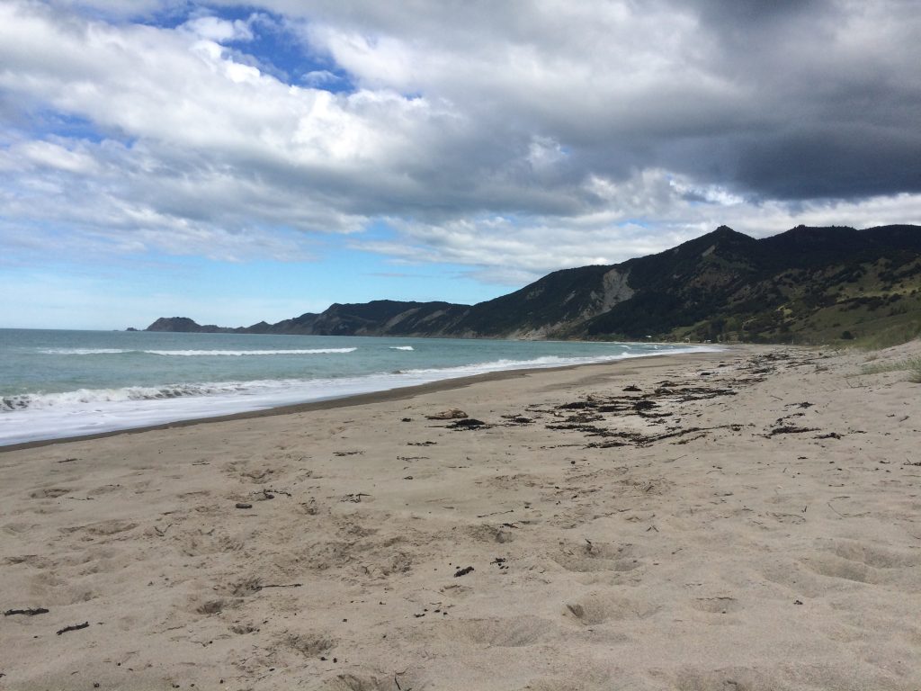 Tokomaru Bay Beach