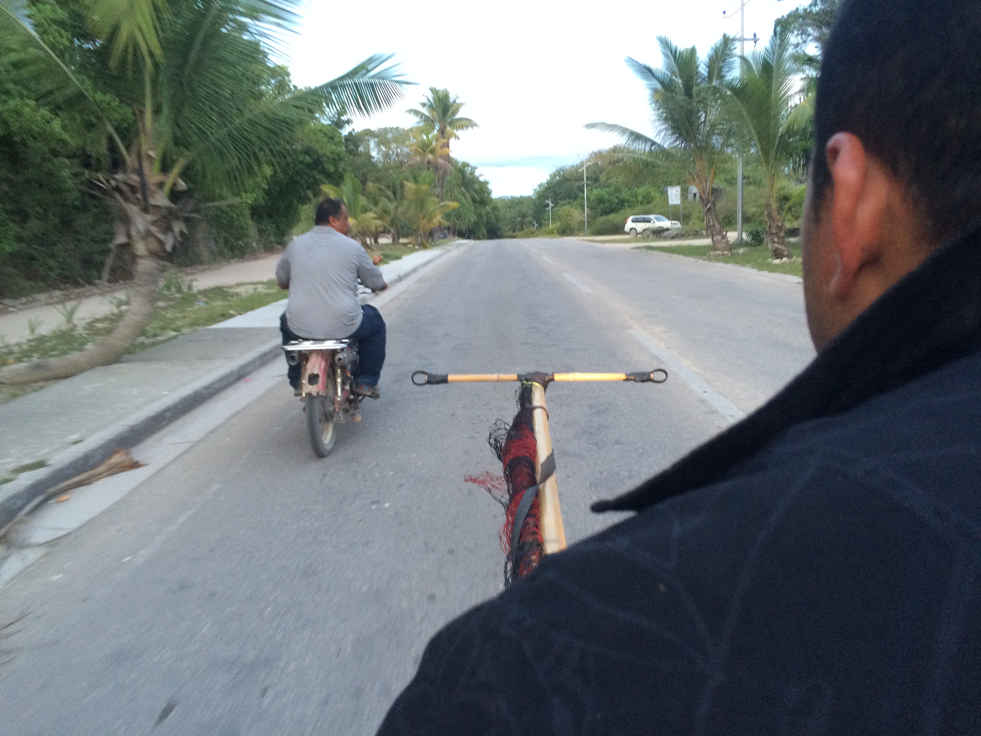 Catching & Eating Noddy Bird | A Nauruan Tradition