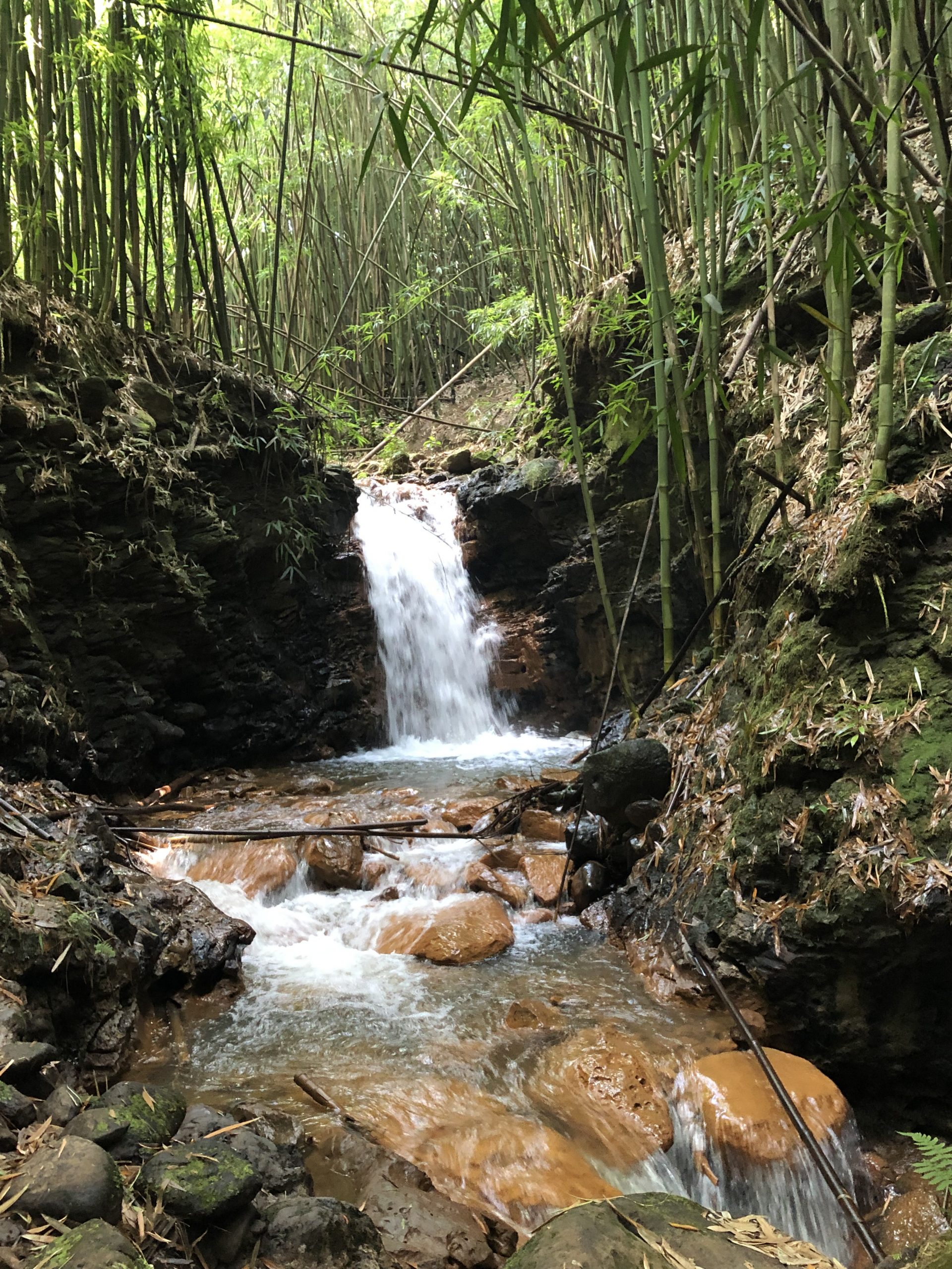 bamboo falls road to hana