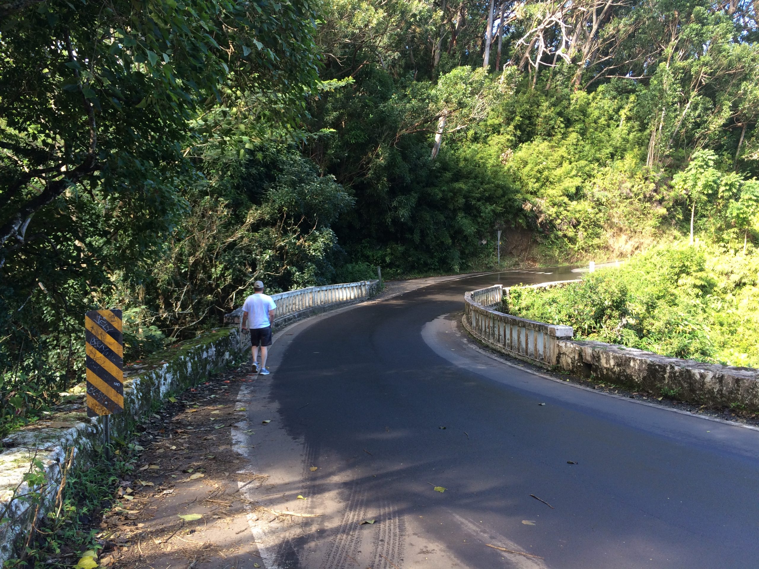 road to hana bridge