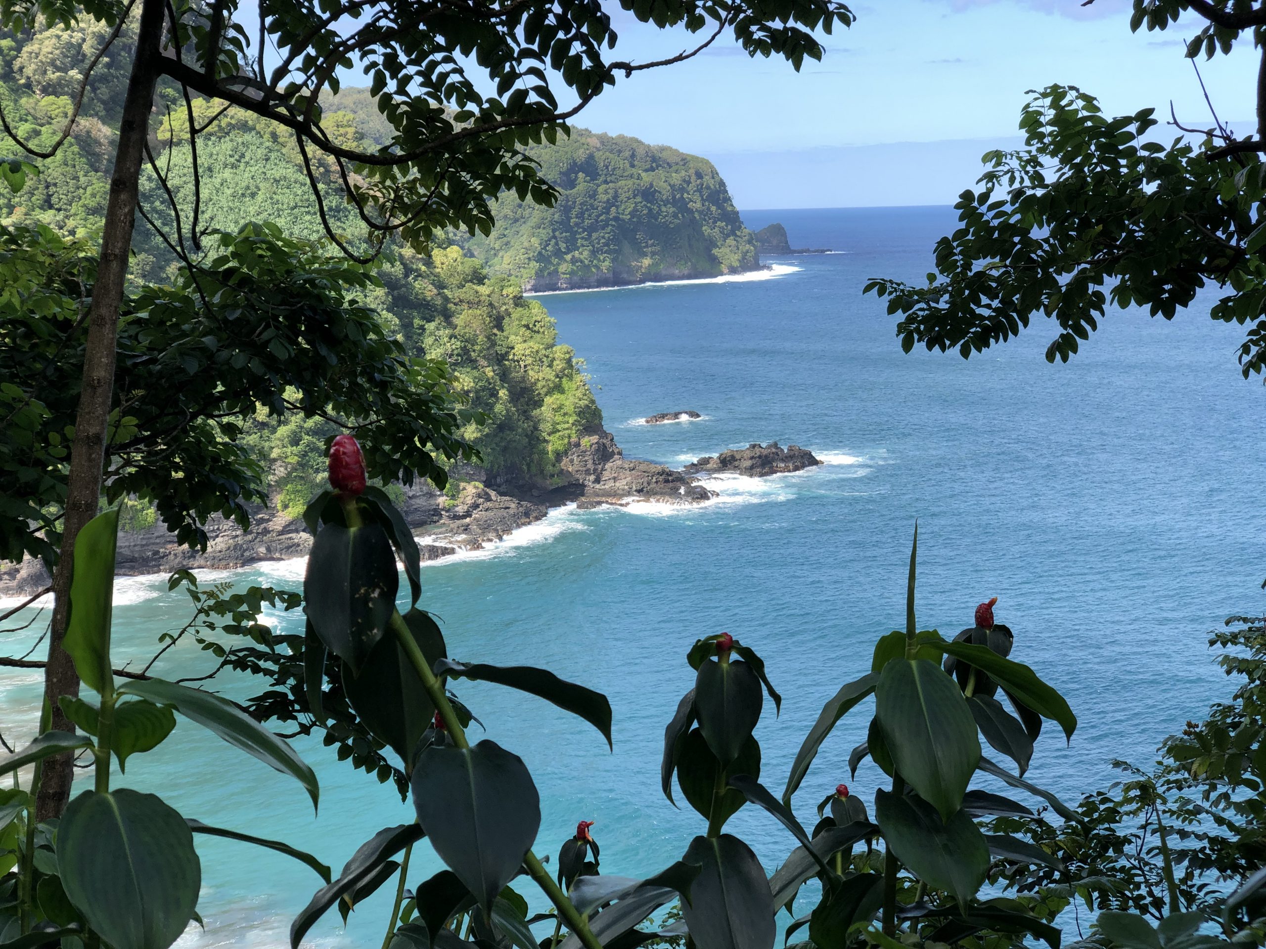 road to hana coast