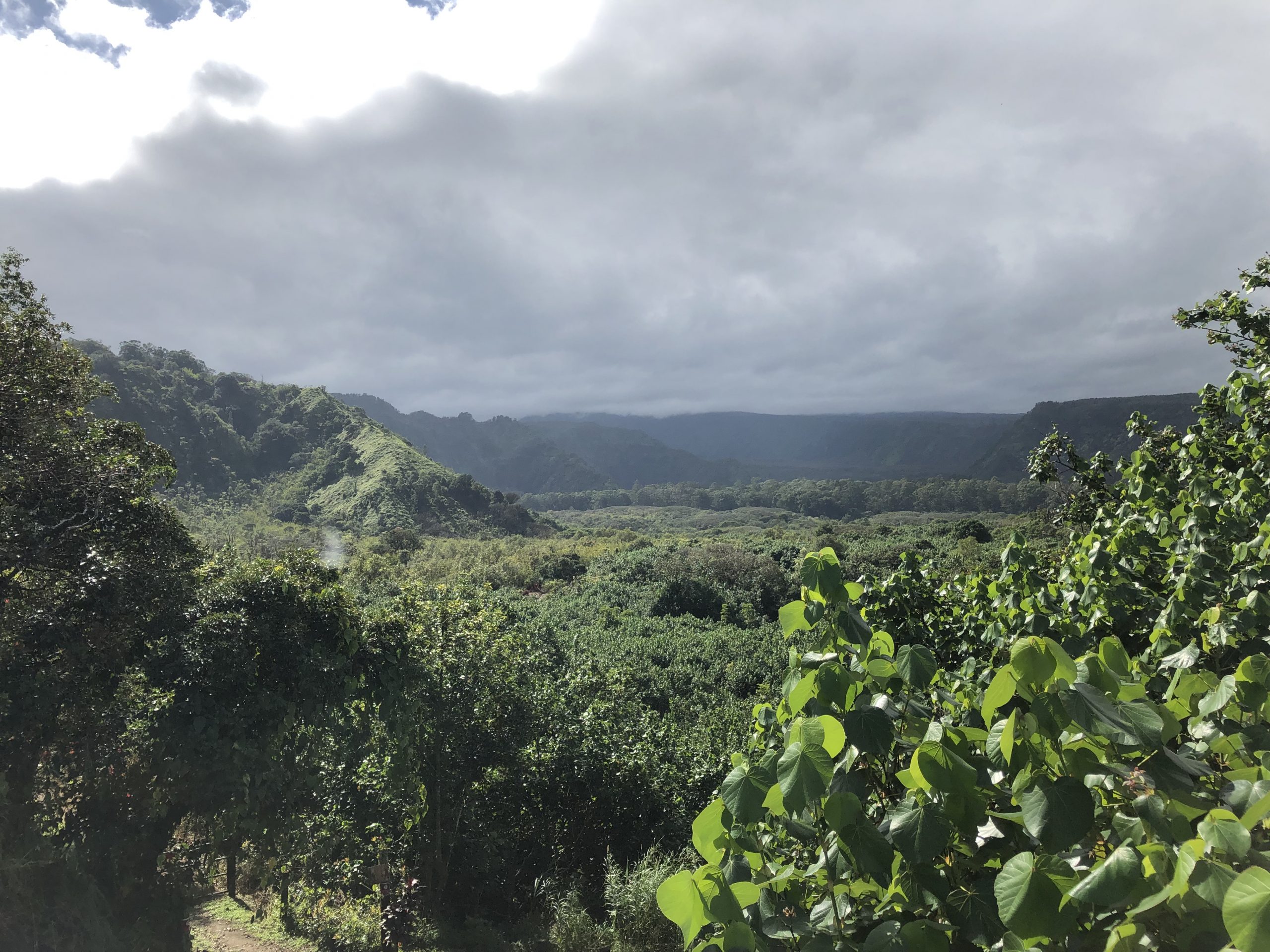 road to hana waialua lookout