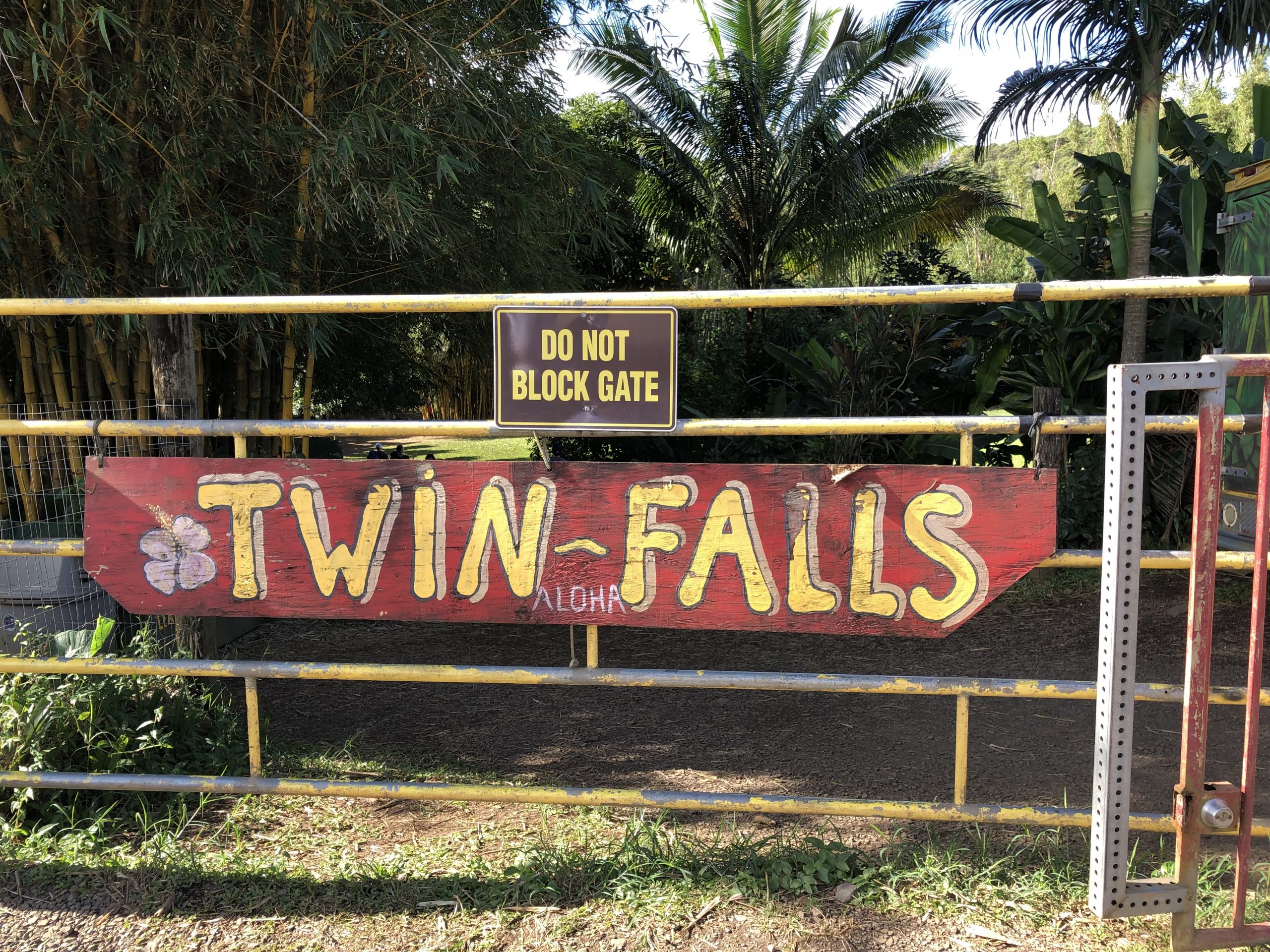 twin falls road to hana