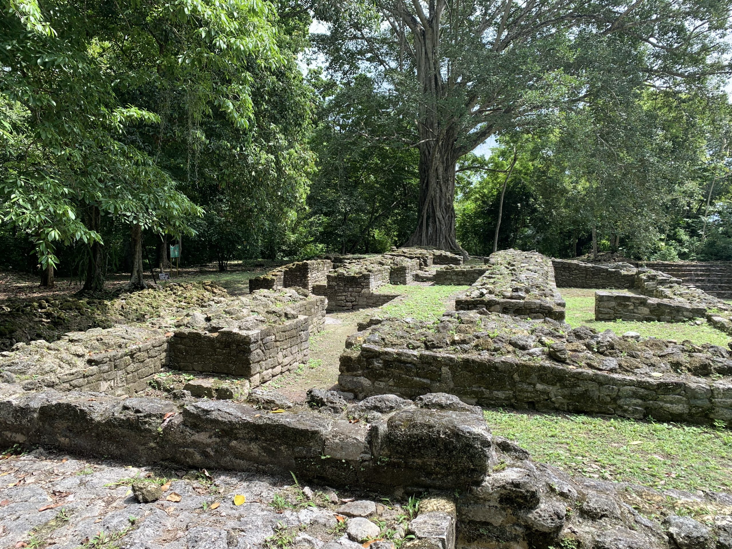 royal complex lamanai belize ruins