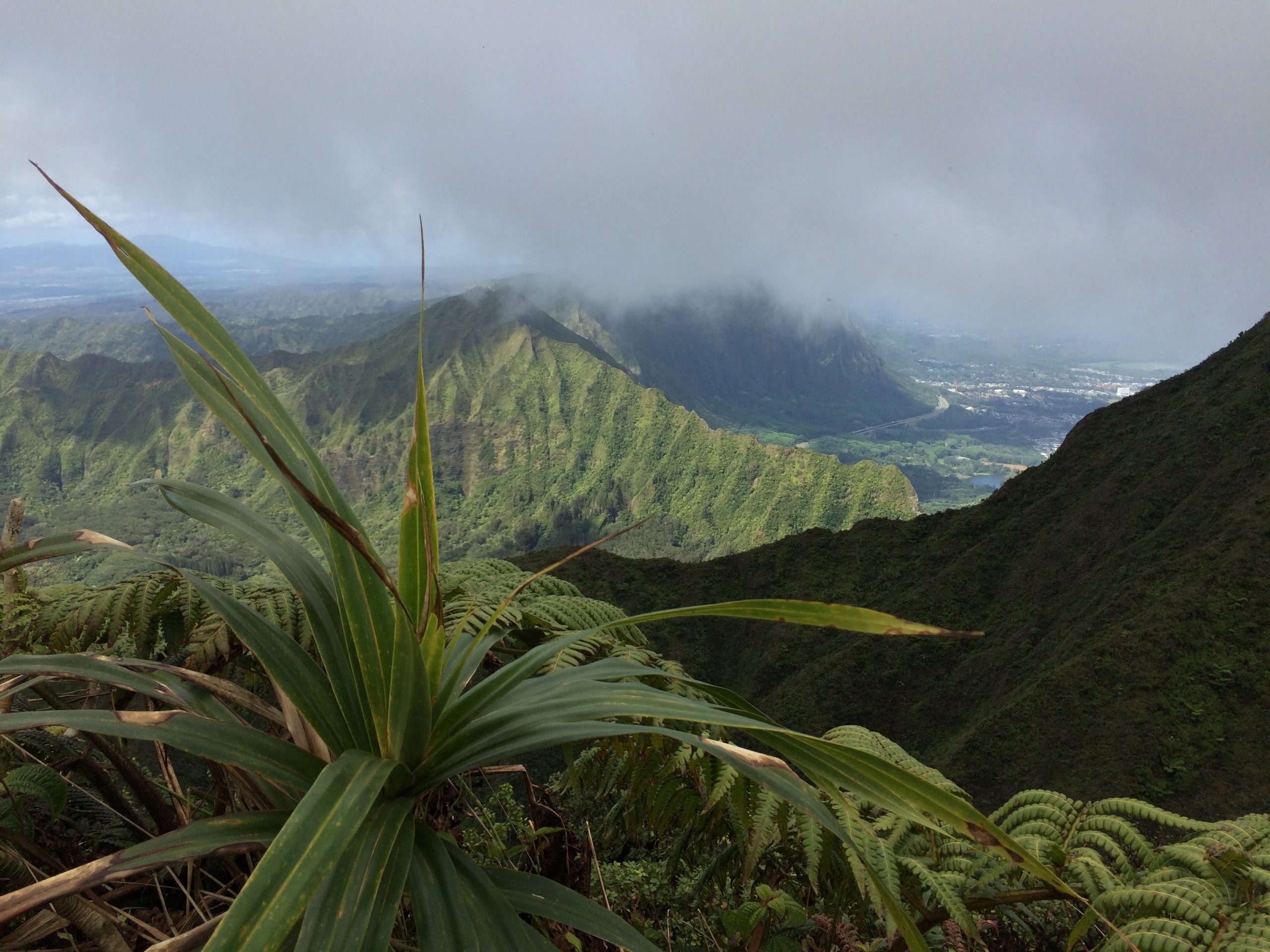 konahuanui O’ahu hike