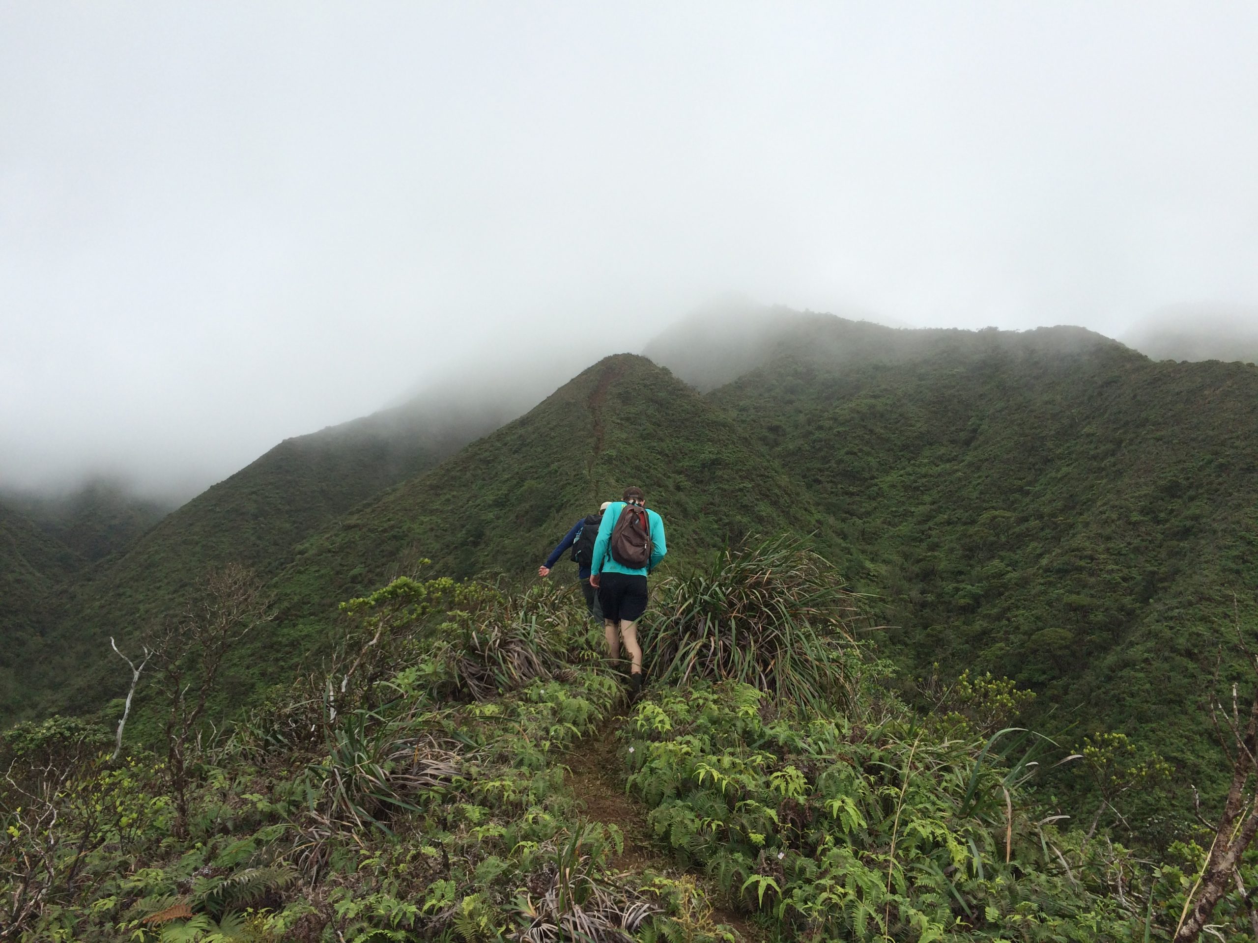 konahuanui O’ahu hike