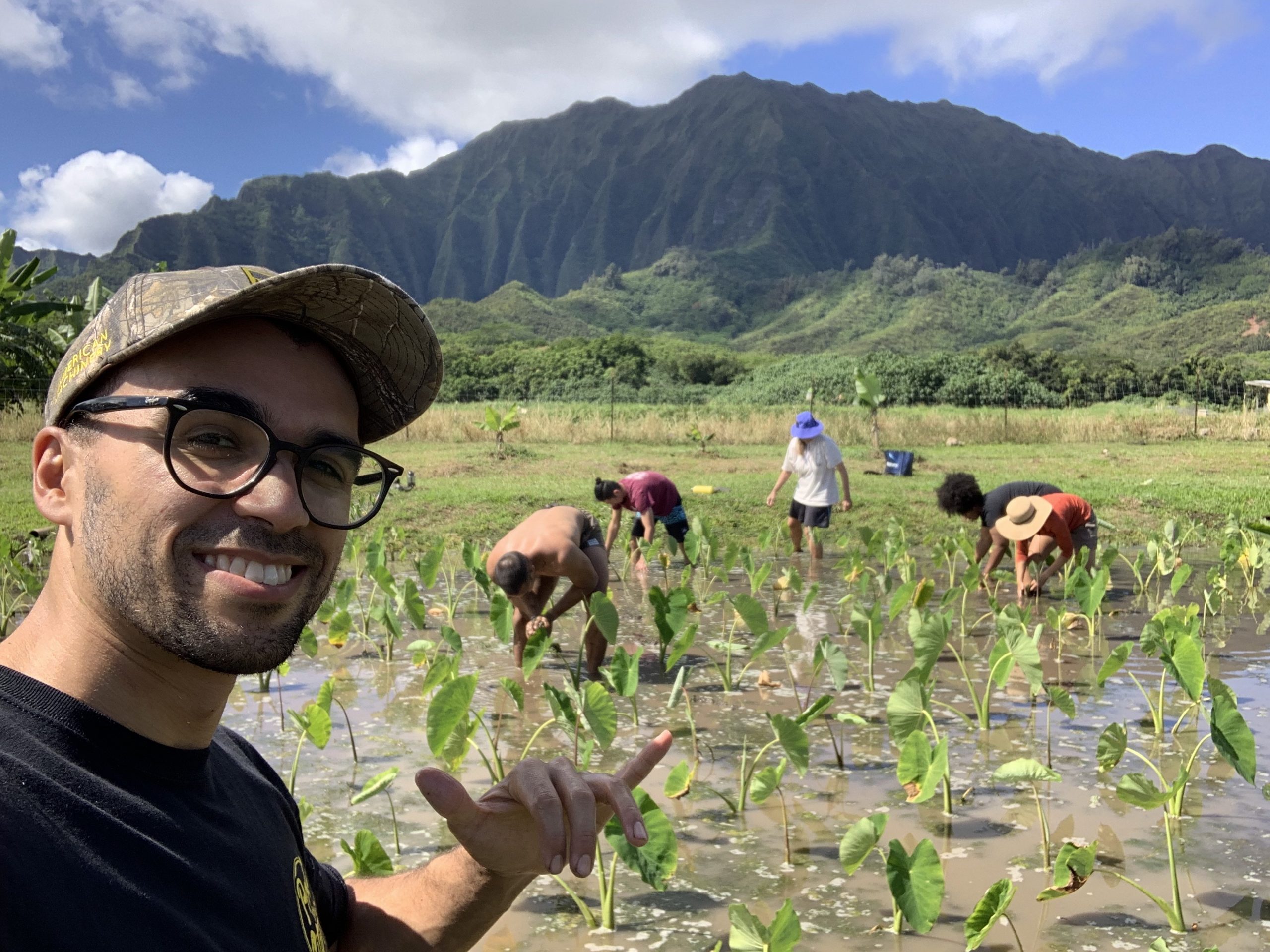 cultural immersion in Hawai’i taro field