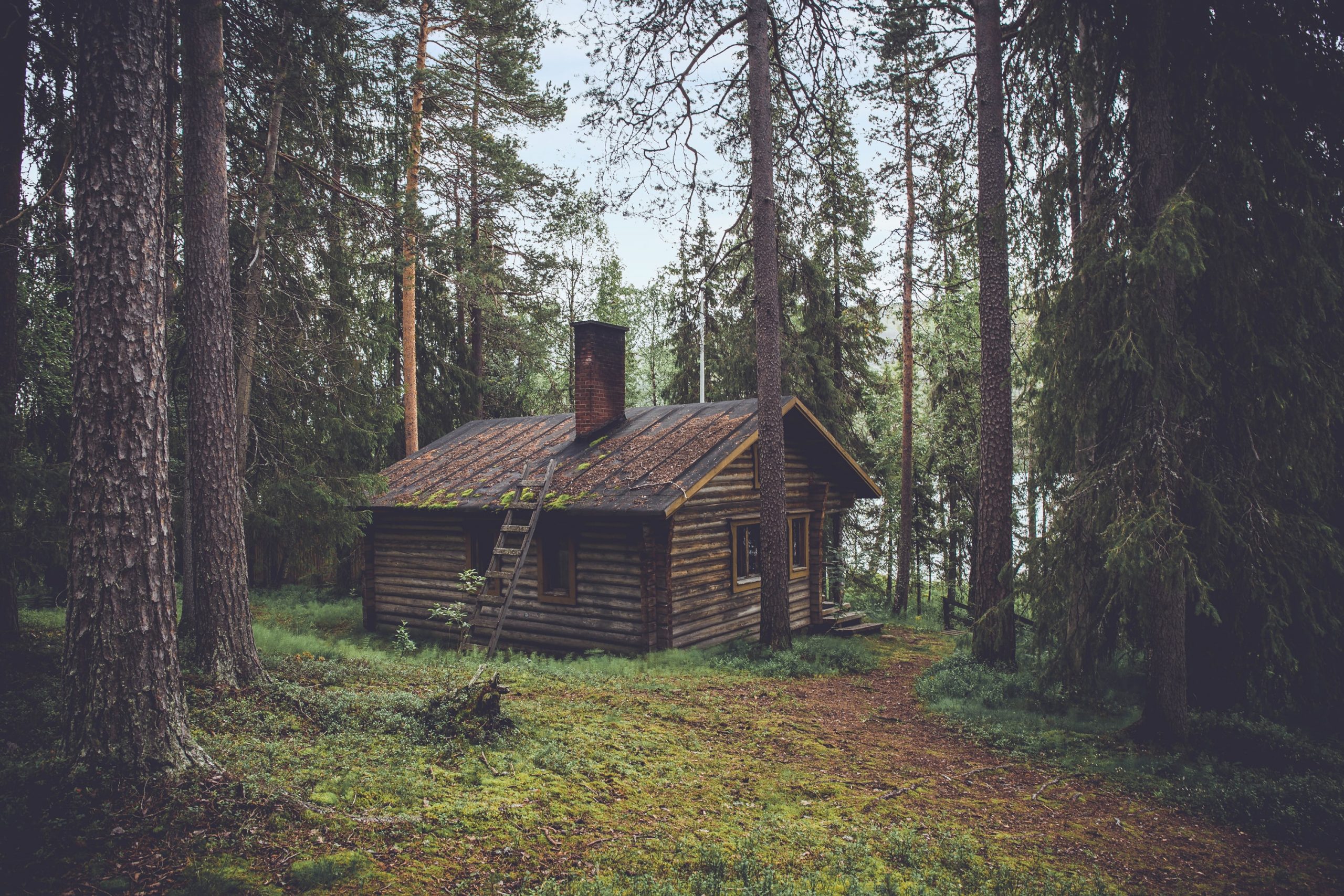 settling down buying a home cabin in the woods