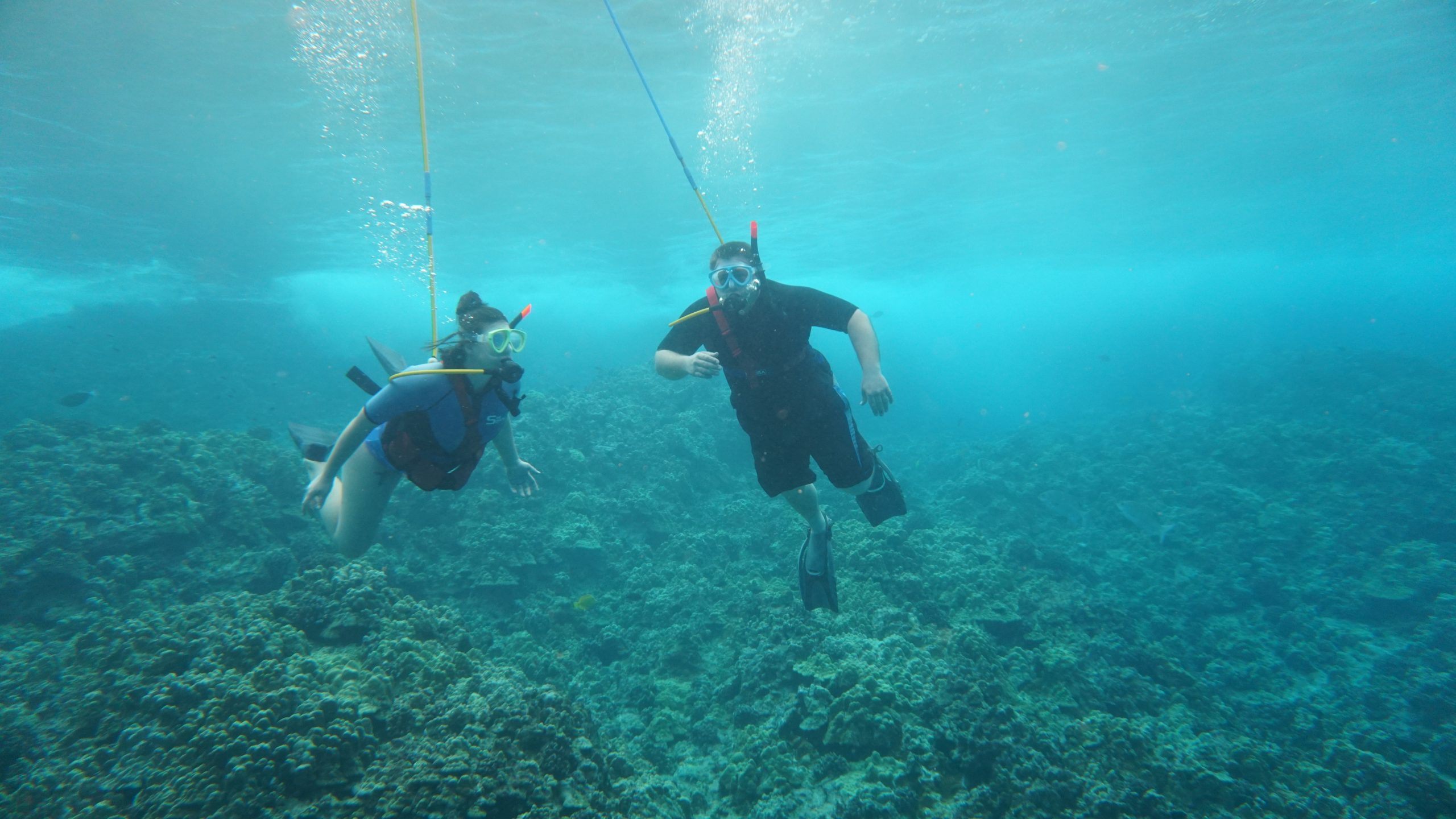 hawaii maui snuba tour molokini