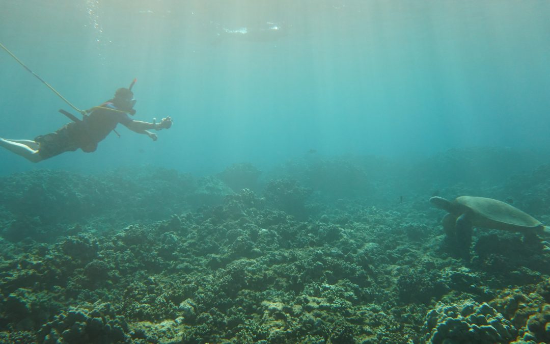 Snorkeling? Scuba?…SNUBA!!