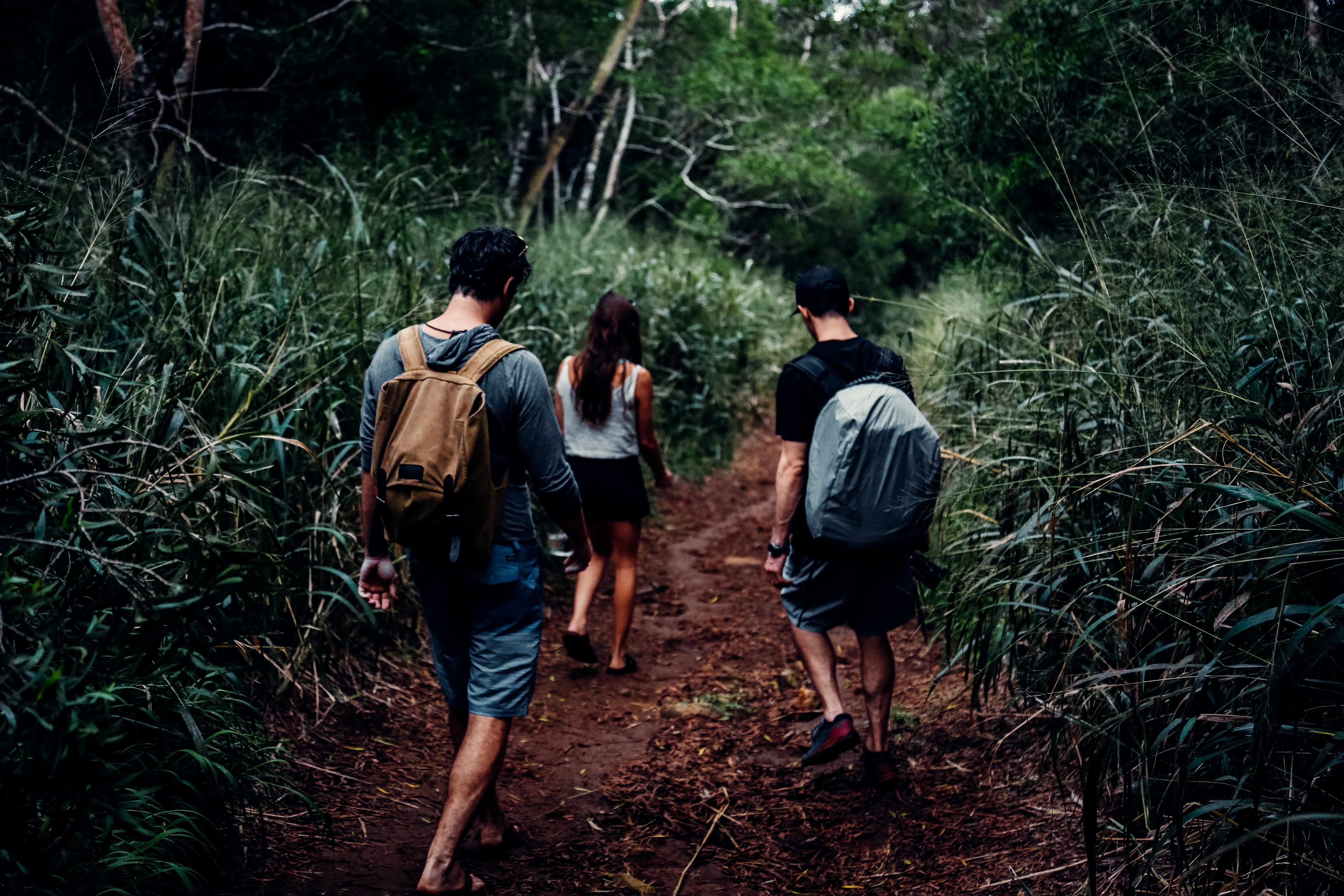 friends-hawaii-hiking