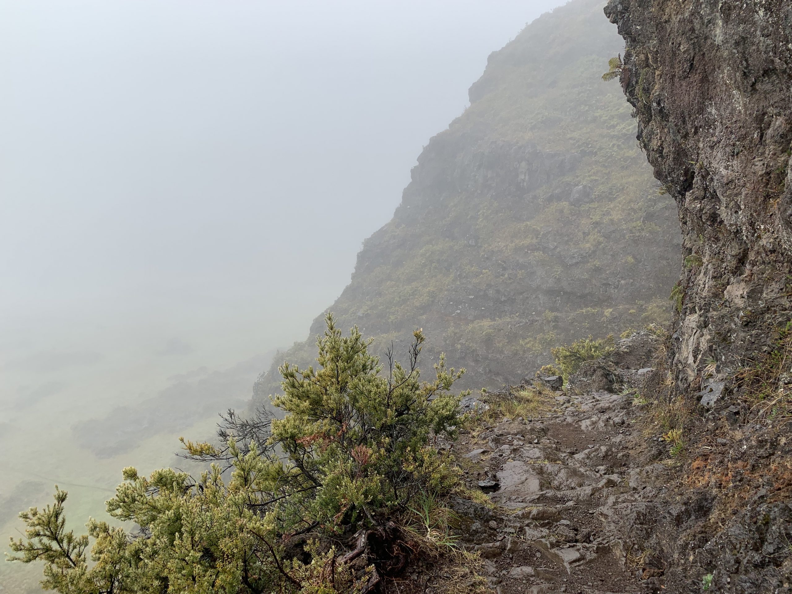 haleakala crater trail holua