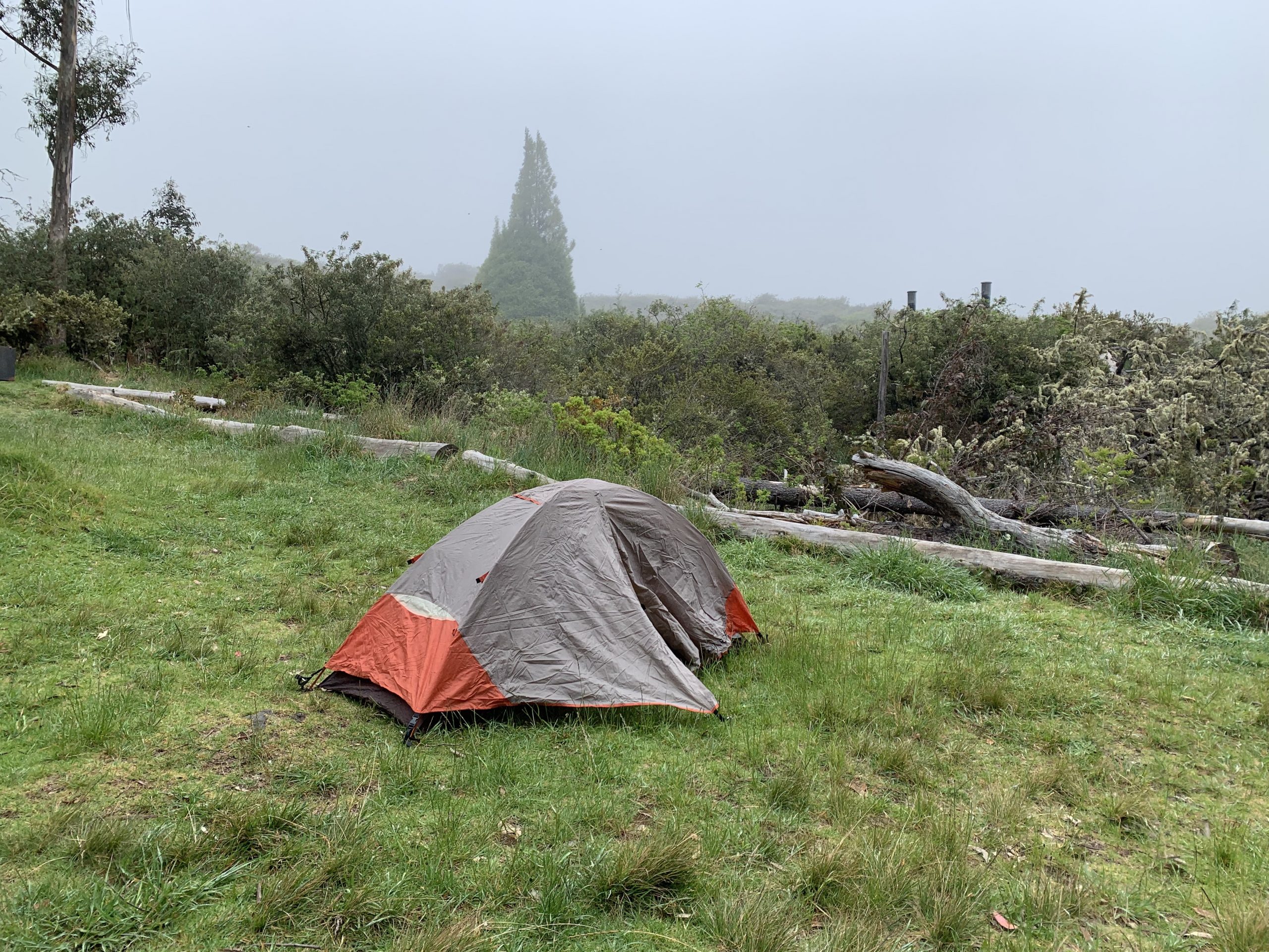 hosmer grove campground haleakala