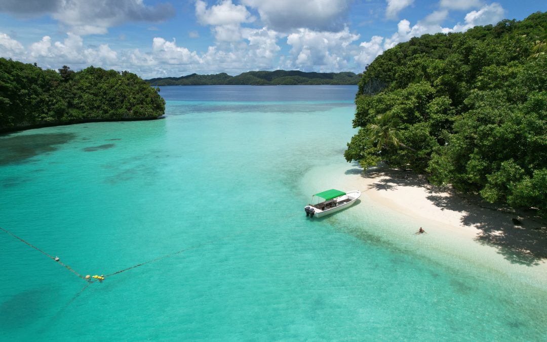 The Meaning Behind ‘Pristine Paradise’ Palau?