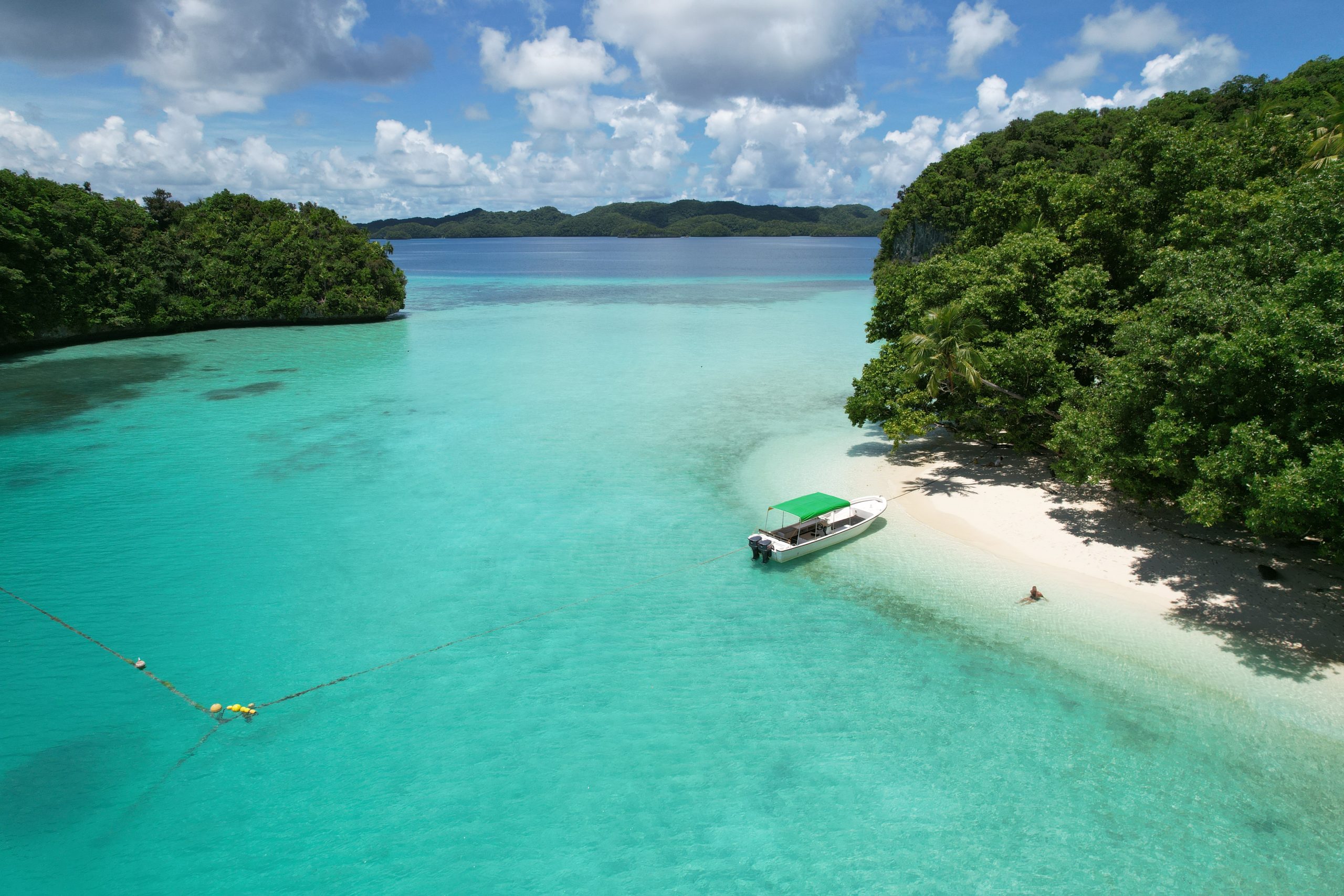 pristine paradise $100 dollar fee tourism palau