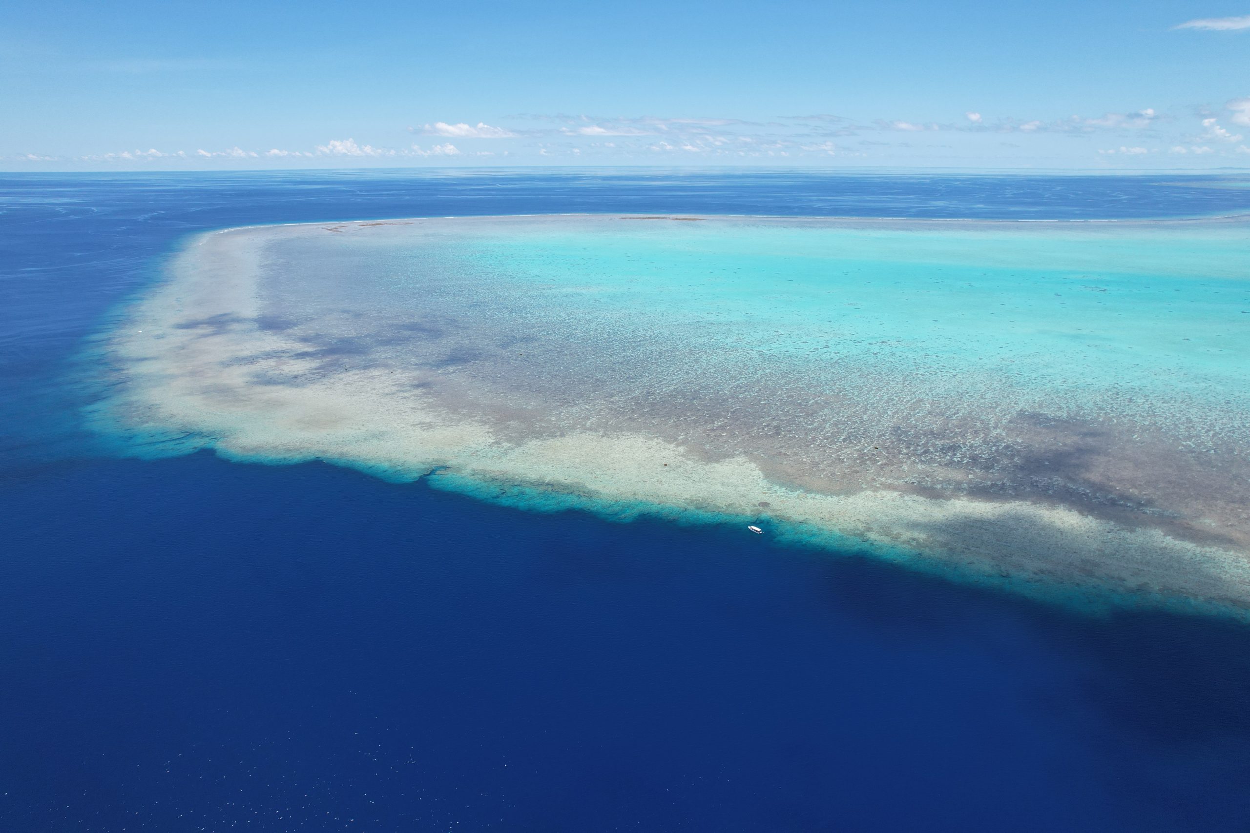 pristine paradise palau reef drone