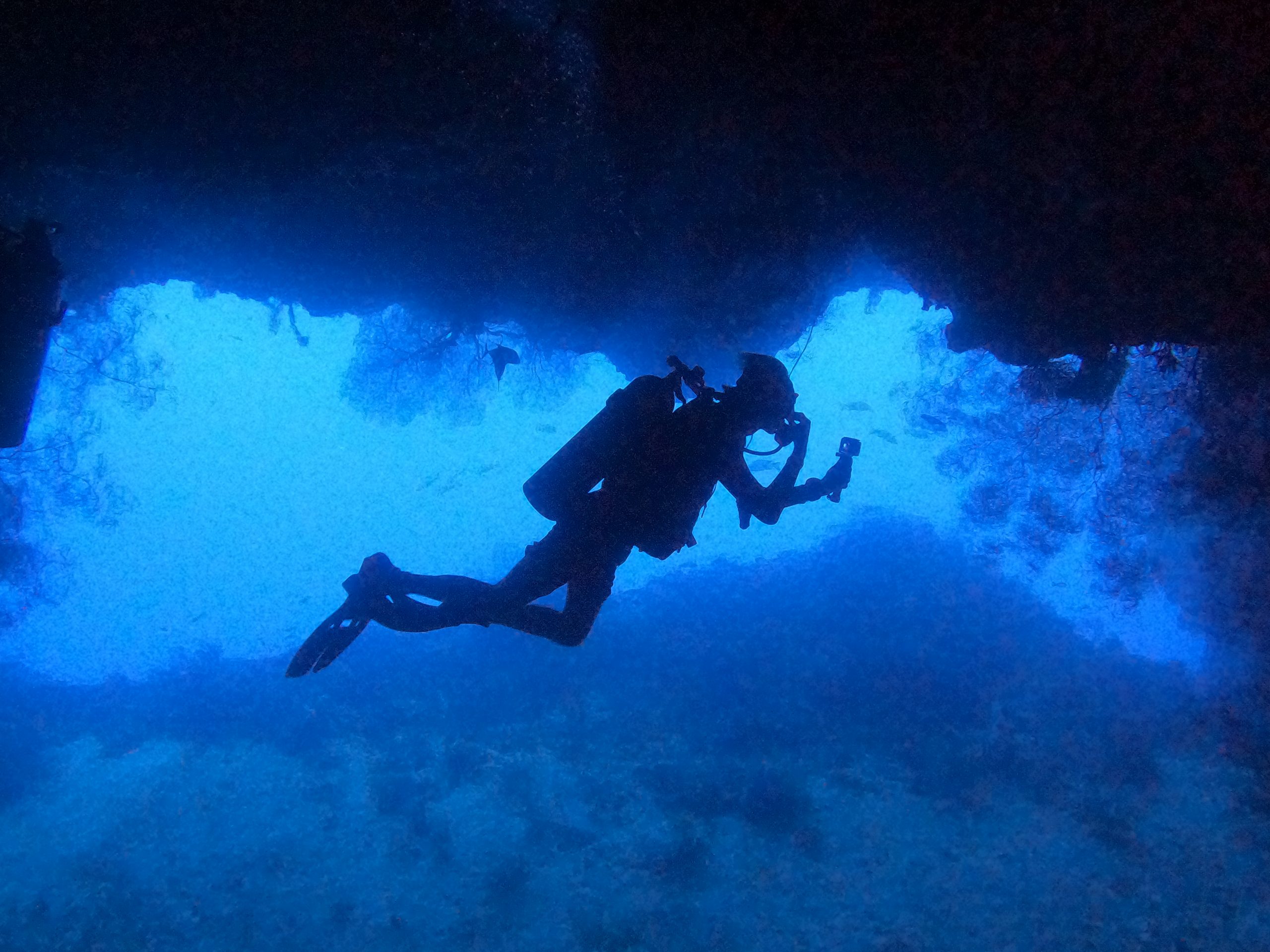 pristine paradise palau scuba diving reef fish