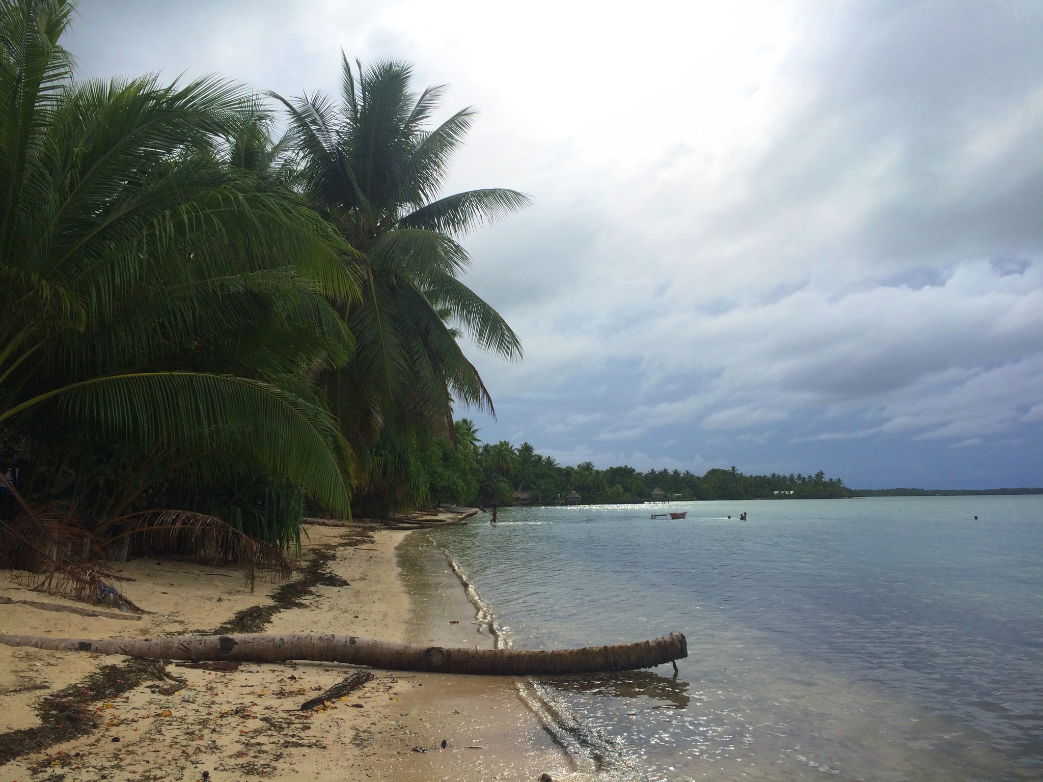 Coastal view of lagoon side Butaritari Kiribati