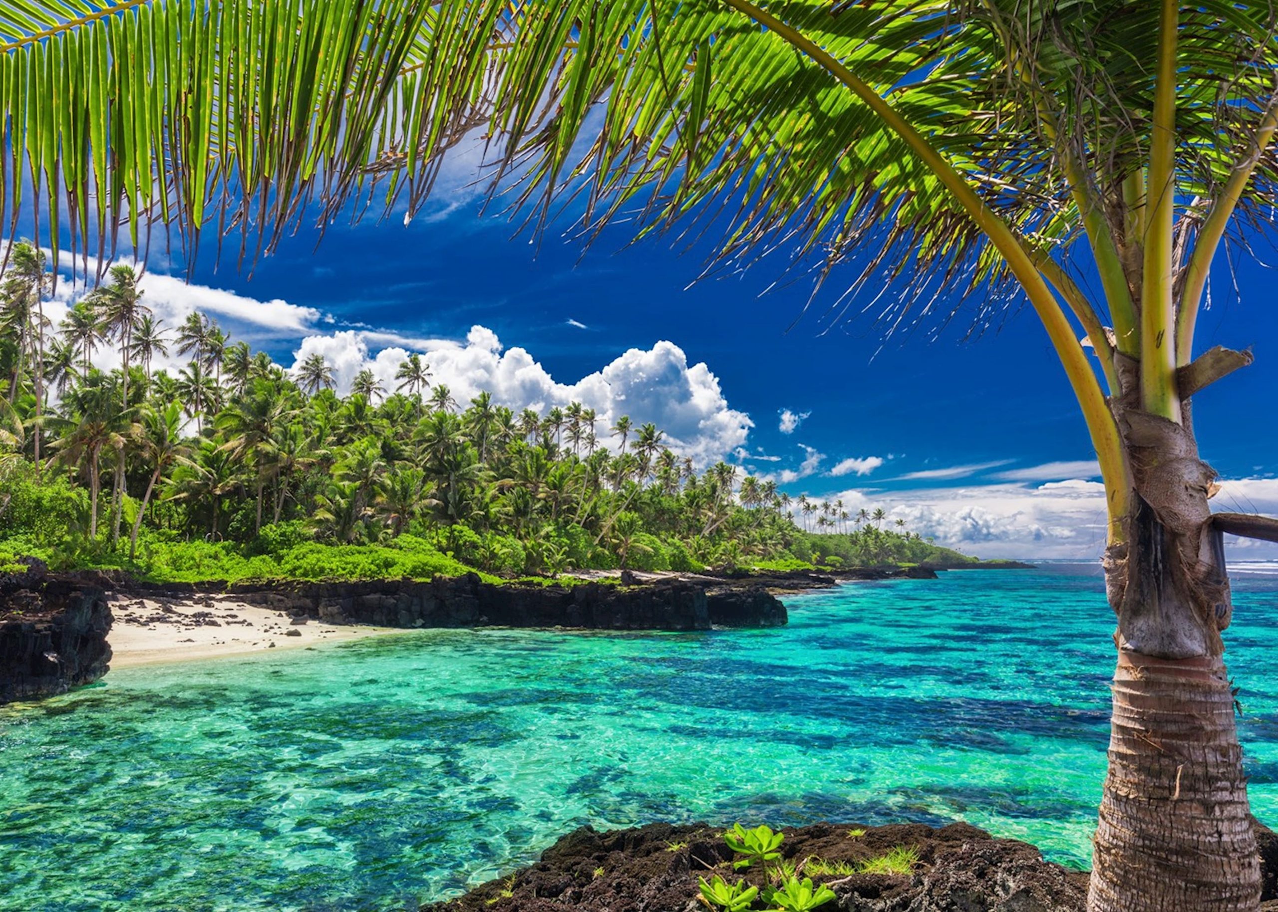 Palm trees and crystal clear waters in Samoa islands