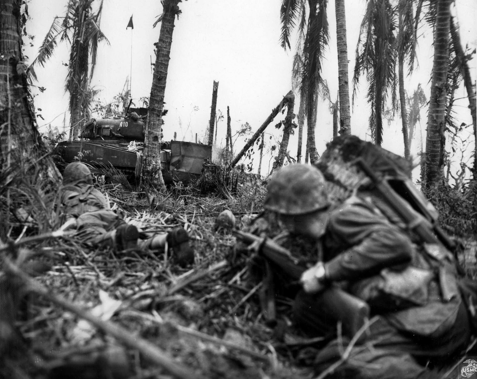 Battle of Peleliu island destruction anf fighting