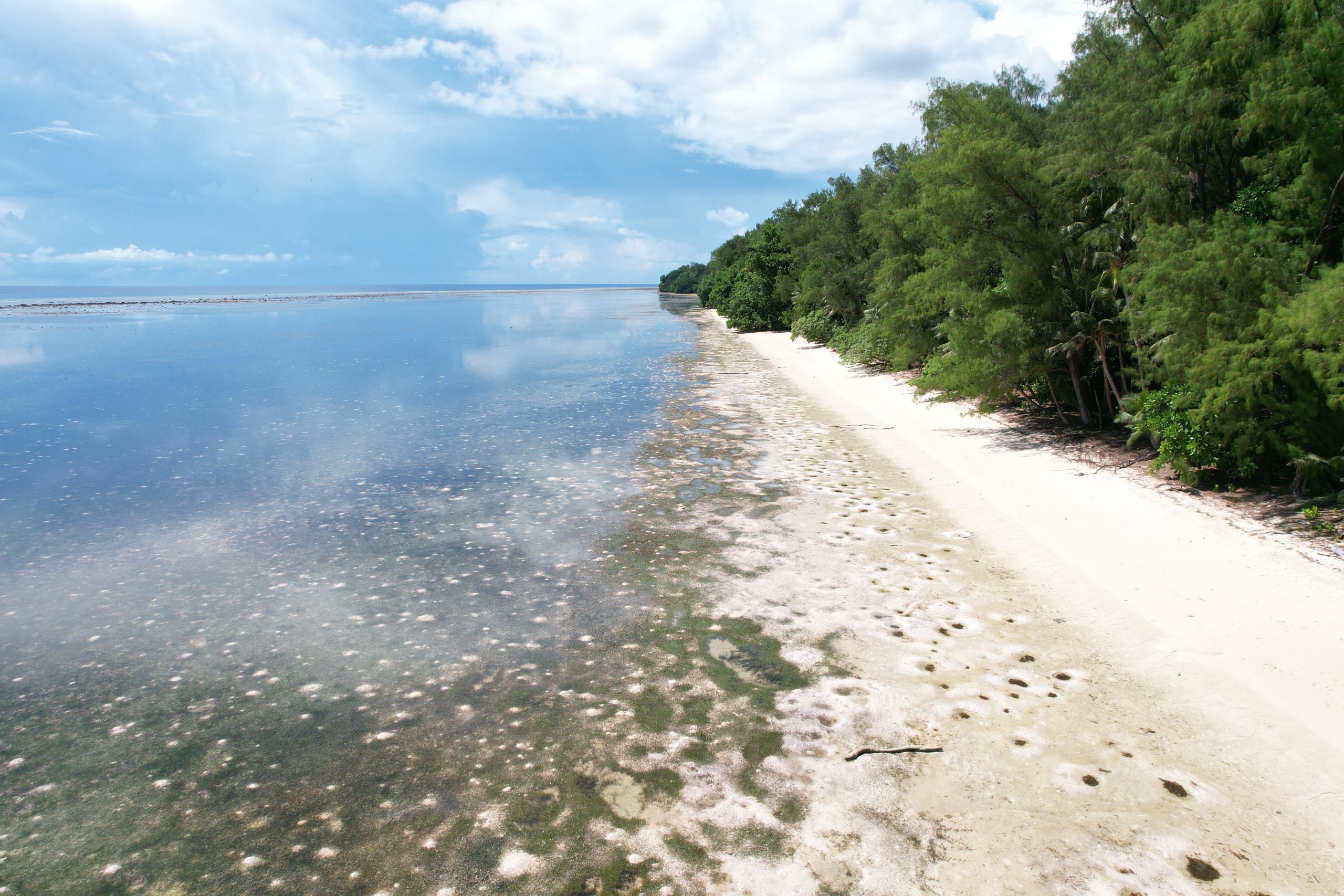 palau permit battle of peleliu war ruins